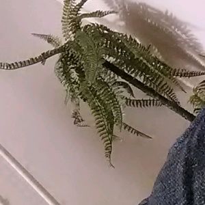 Meet your Posher, Janay